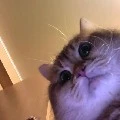 แอด.😃