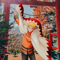 naruto Uzumaki(Hokage)