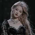 Roses Lauren