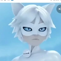 Cat blanc