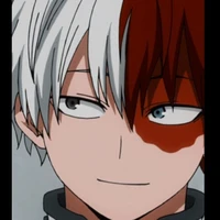 todoroki