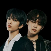 LionTwins