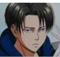 Levi