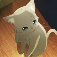 kitten