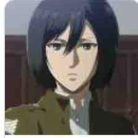 Mikasa