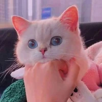 นักเขียน