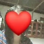 น้ำขิง//คนเขียน