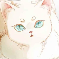 Kucing