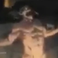 titan murni