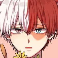 todoroki