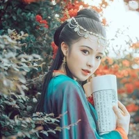 Feng/Zhao Chen