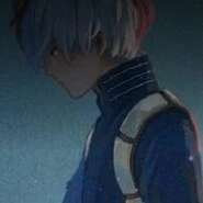 Shoto Todoroki