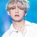 kim taehyung/taetae/tiger