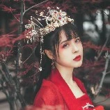 จ้าวฉิงฉี(สนมจ้าว)