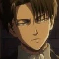 levi