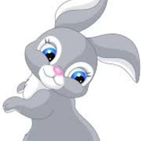 system (bun)