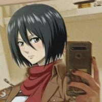 mikasa