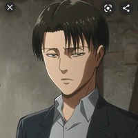 levi
