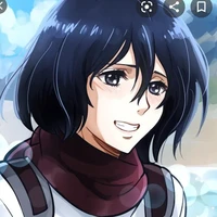 mikasa