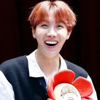 hobi/j hope