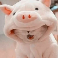 แอดเอง