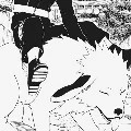Akamaru