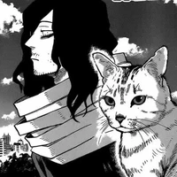 Shota Aizawa