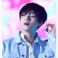 Tae/general V