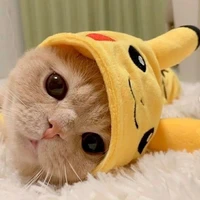 เคตอนเด็ก