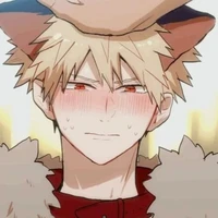 ..Katsuki Bakugou..