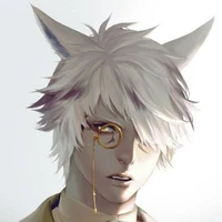 Shin
