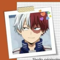todoroki(alfa)