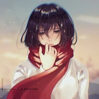 mikasa