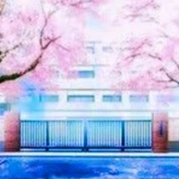 school authorities