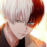 Todoroki