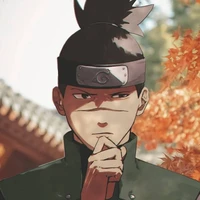 iruka sensei