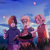 team 7