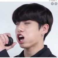 Justin seagull
