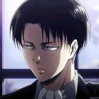 Levi