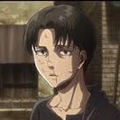 levi