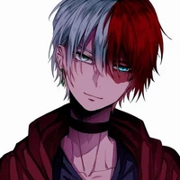 Shoto Todoroki °A.D.P.M°