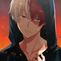 todoroki