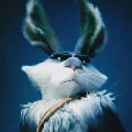 bunny