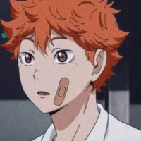 hinata_SHOYO🧡