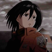 mikasa