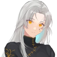 (Y/N)