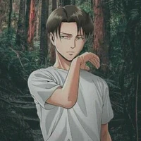 Levi/Captain clean freak