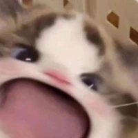 เเอด