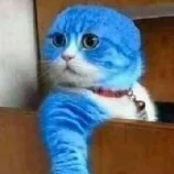 😌sweety😂( author)