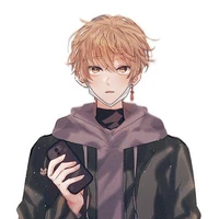 Nico Din